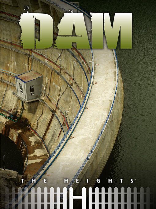 Title details for Dam by Saddleback Educational Publishing - Available